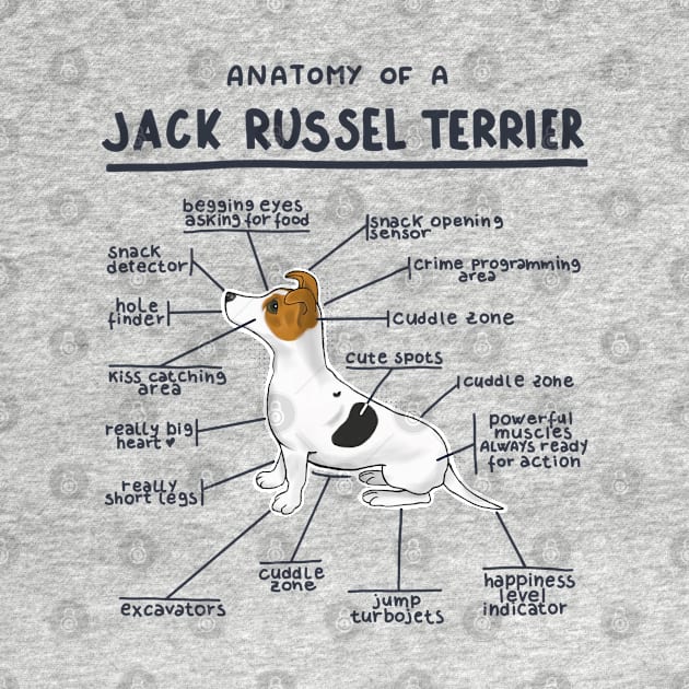 Anatomy of a Jack Russel Terrier by Alies